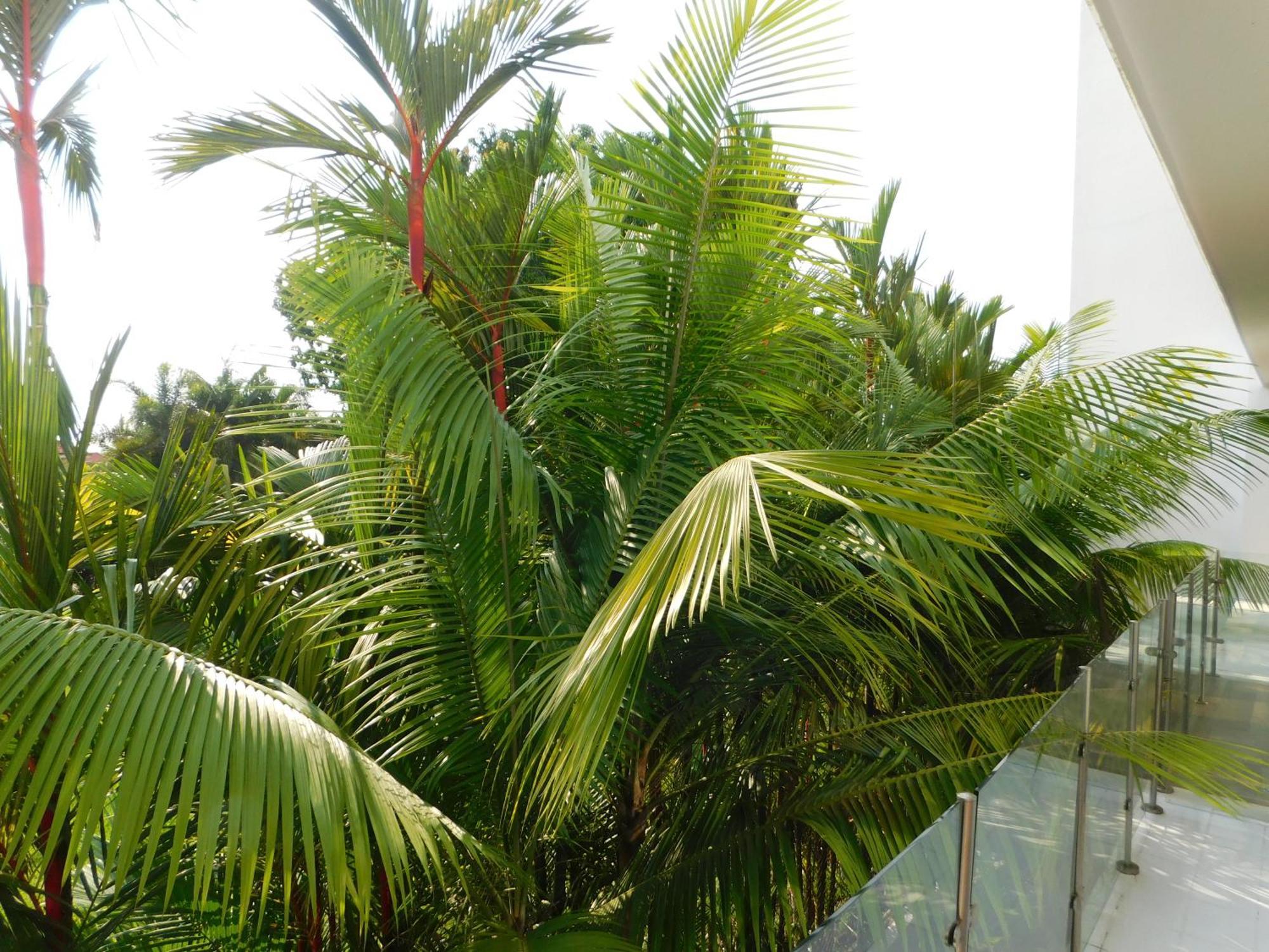 Sunset 205, Sleeps Six, Next Door To The Pool, 100M To The Beach! Jaco Ngoại thất bức ảnh
