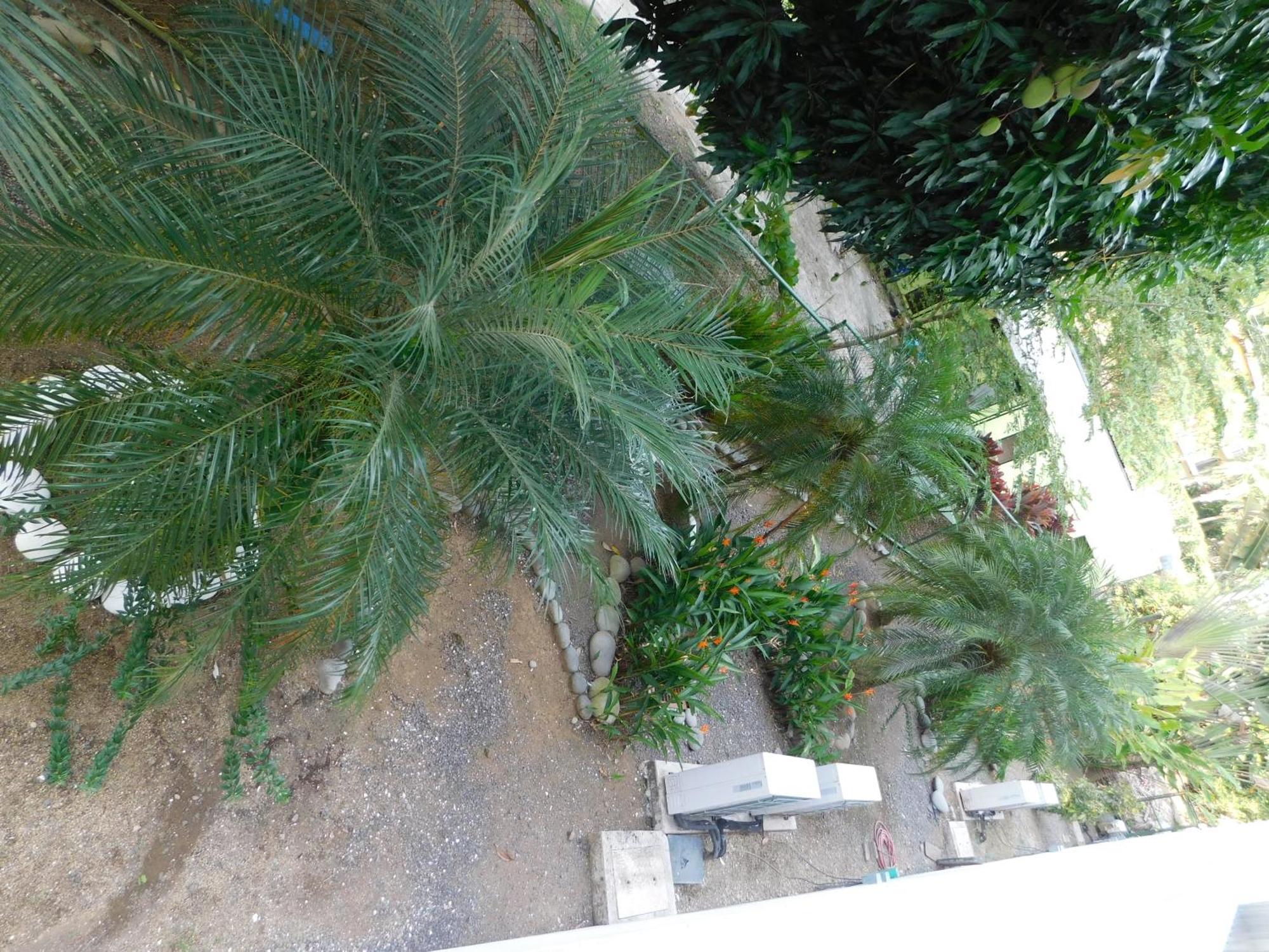 Sunset 205, Sleeps Six, Next Door To The Pool, 100M To The Beach! Jaco Ngoại thất bức ảnh